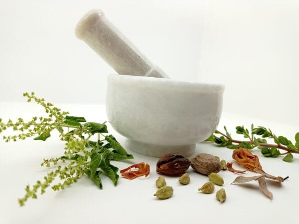 HM-000026 (Madi) (2) Madi