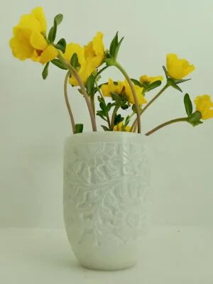 oppo_0 Laraib