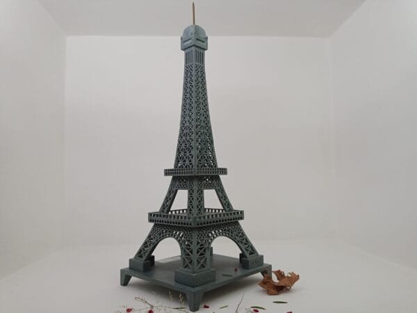 SP-000226 (Brac) (26) Brac