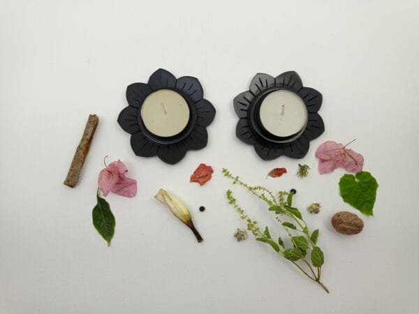 SP-000253 (Altair) (1) Altair