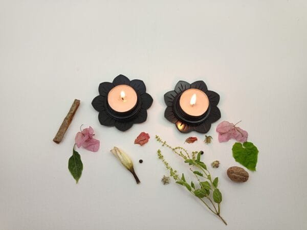 SP-000253 (Altair) (2) Altair