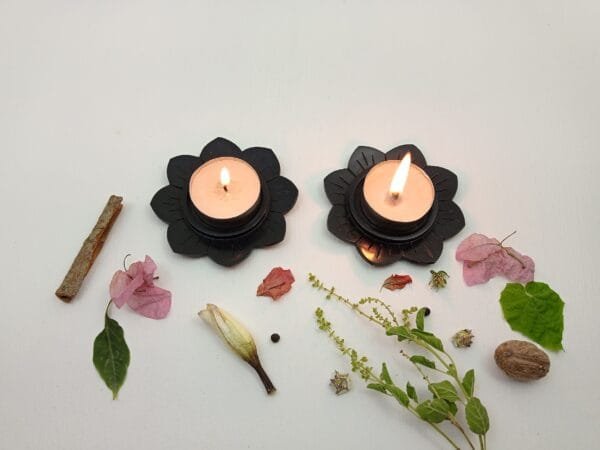 SP-000253 (Altair) (3) Altair