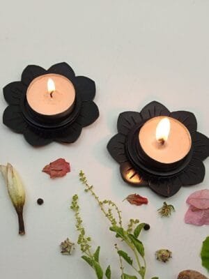 SP-000253 (Altair) (4) Altair