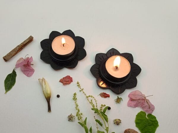 SP-000253 (Altair) (4) Altair