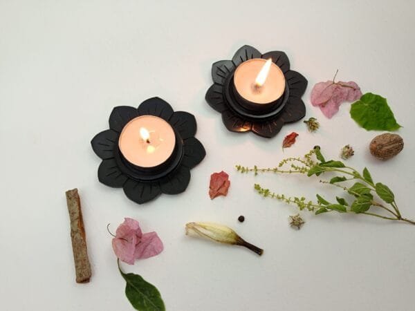 SP-000253 (Altair) (5) Altair